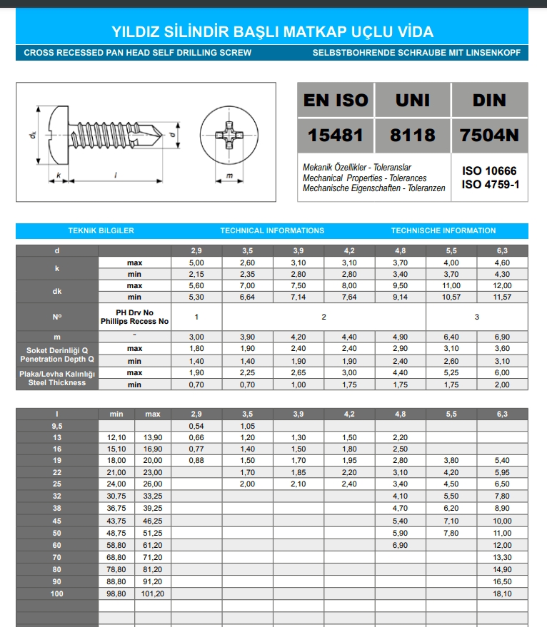 4.2X38 YSB Matkap Uçlu Vida DIN 7504N ISO 15481 UNI 8118